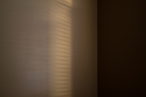 openlabartists:   Aiden Morse What is your artistic background?   I’m not entirely sure that I have one yet. I’ve just finished year 12 in Tasmania and now I’ve moved to Melbourne to study art. I’ve been taking pictures for about four years now.