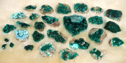 mineralists:  Stunningly beautiful specimens of Dioptase! 