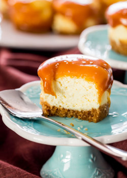 foodffs: Mini Salted Caramel Cheesecakes