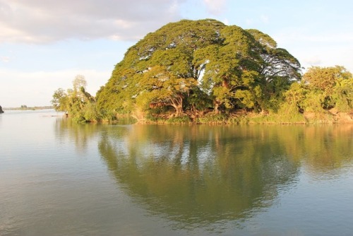 mekong