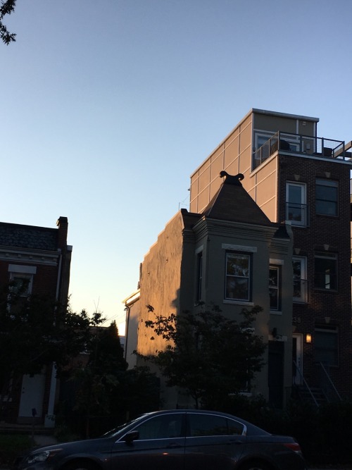 Catching the evening On the sides of buildings Bleeding through the grates.