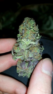 goodweedstinks:  g00d–v-i-b-e-s:  Weed