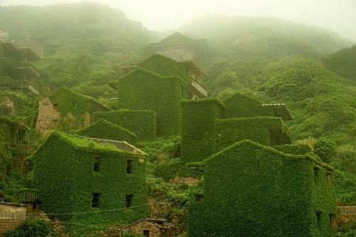 fuckyeahchinesefashion:ponderation:Zhoushan by 唐 宇宏An abandoned village in Zhoushan, Zhejiang provin