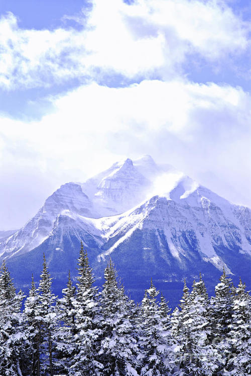 renamonkalou:Snowy Mountain