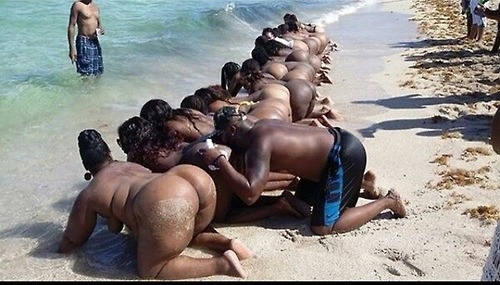 theverykenyans:  Ass festival #AllThatBooty