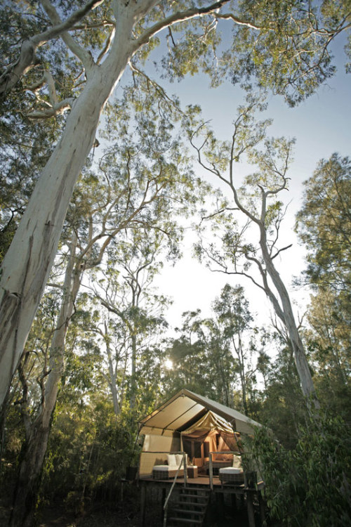 thebasic: Paperback Camp, Australia