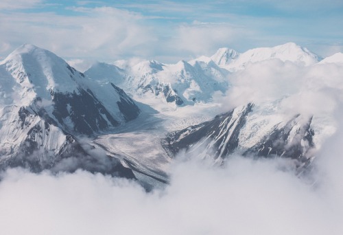 kodiakstag: Love from Alaska.