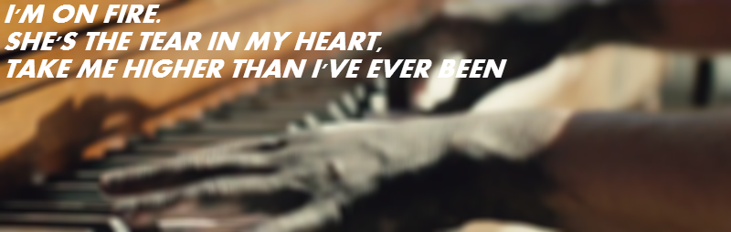 therunandwoah:  forest // tear in my heart parallels