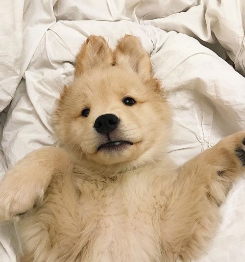 yoonily:www.instagram.com/p/BhDQ5fhl7Tx/