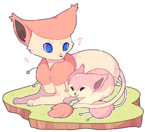 rookon: pink cats pink cats