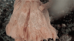 ilreleonewikia13:  Throne of Glass meme:  The assassin’s keep + fashion + pink/liliac