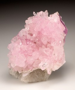 bijoux-et-mineraux:  Rose Quartz on Quartz matrix - Ilha claim, Taquaral, Itinga, Minas Gerais, Brazil