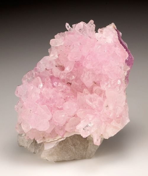 bijoux-et-mineraux:Rose Quartz on Quartz matrix - Ilha claim, Taquaral, Itinga, Minas Gerais, Brazil