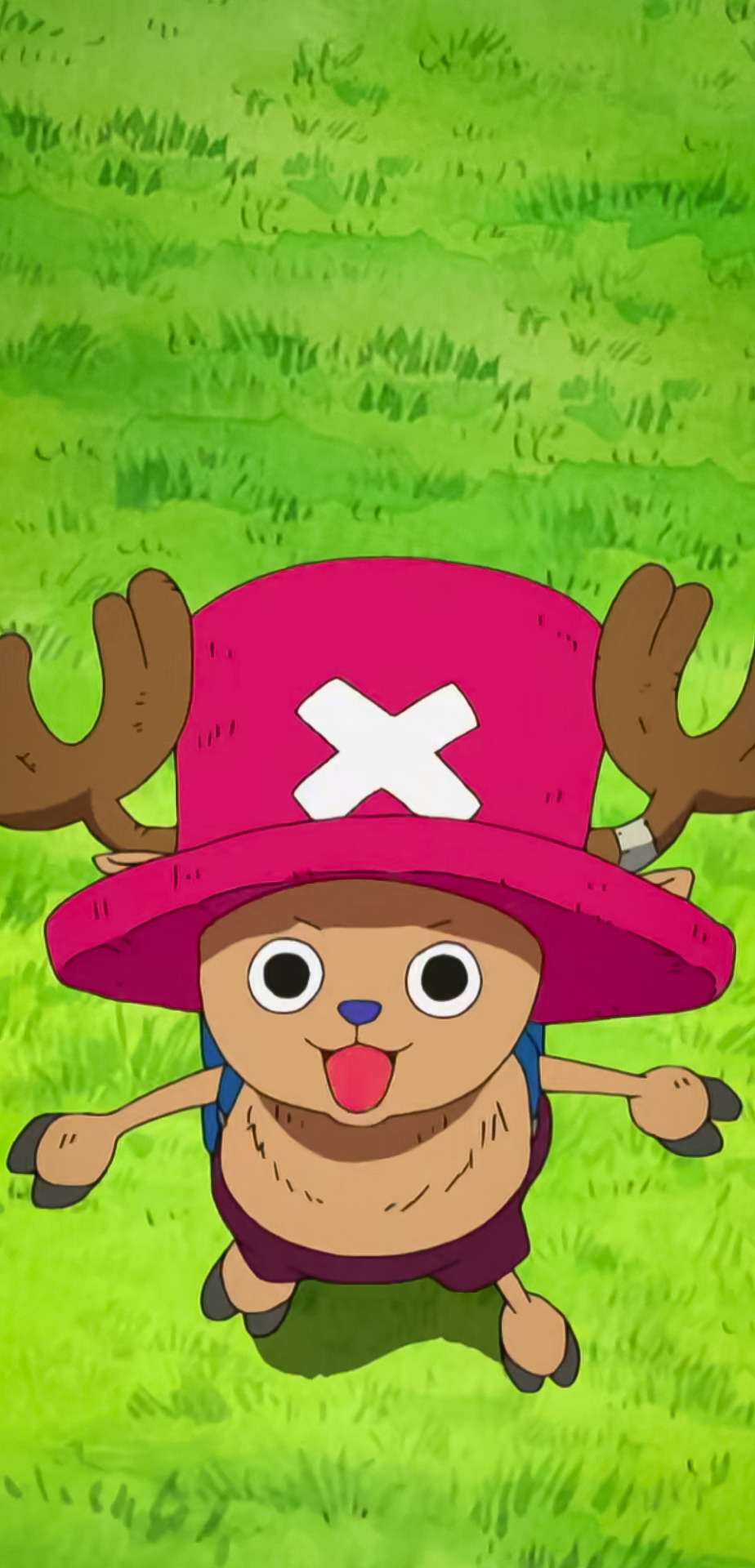 One Piece  Cotton Candy Lover Tony Tony Chopper 2K wallpaper download