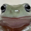 sammytheegg