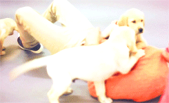 everniam:  hey everyone. saw some signs about me tonight that where a bit upsetting