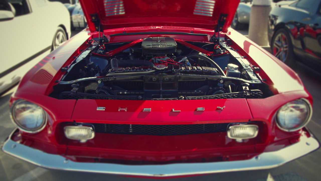 yessir-youarefat:  Shelby GT500 widebody Carroll Shelby Cruisein, Petersen Automotive