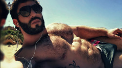 fit-hairy-guys:  FIT - HAIRY - GUYS archive | follow | submit