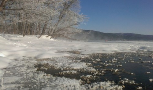 XXX wolfdancer:  “Frost Flowers” Form an photo