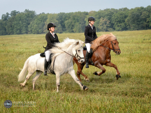 Antje Freygang and her Icelandic horses from Middleburg,  Virginia by V. Durbon(2) Being a profess