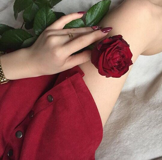 ♡ 𝒹𝑜𝓁𝓁 𝓅𝒶𝓇𝓉𝓈 ♡