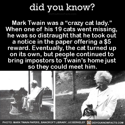 did-you-know:Mark Twain was a “crazy cat lady.” When one of his 19 cats went missing, he was so dist