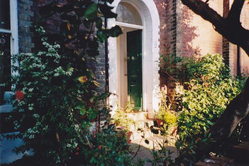 365-daysofstephanie:South East England, Film (by lucie777)