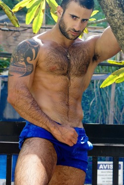 mancrushoftheday:  Photo: Eliad Cohen for H magazine #hairy #muscle The Man Crush Blog / Facebook / Twitter
