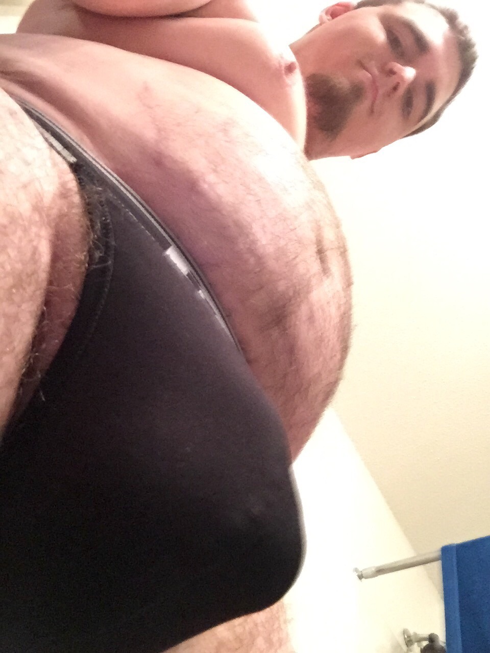 Osos, Musculosos, Gorditos, Papis y Chasers