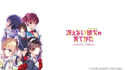 saenai heroine no sodatekata (路人女主的养成方法)