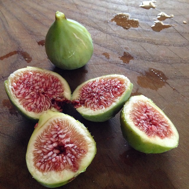 Glorious figs from neighbor’s tree. I love living here. #california #figs #cleaneats