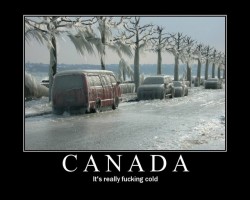Camping anyone?..  0.o