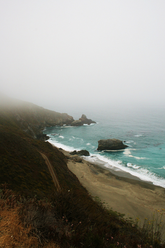 touchdisky:  Pacific Mist by Sarah Lee Walker