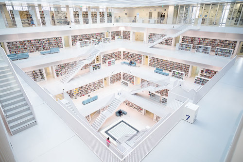 Sex The Most Majestic Libraries In The World pictures