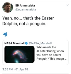 real-faker:  I TWEETED AT NASA ABOUT SPACE DOLPHINS AND NOW ED ANNUNZIATA IS FOLLOWING ME ON TWITTER(sort of a sequel to this post from last year)