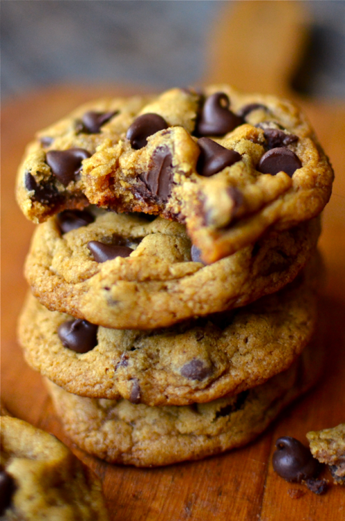 magicalfoodtime:(via Yammie’s Noshery: Chewy Pumpkin Chocolate Chip Cookies)