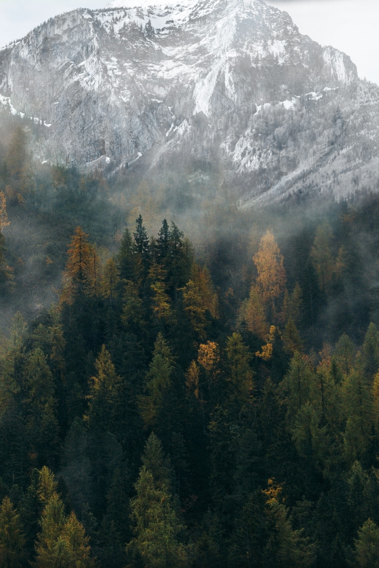 theencompassingworld:  lvndscpe:  Fog | by Andreas Kind This photo as wallpaper on