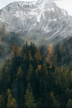 lvndscpe:  Fog | by Andreas Kind This photo as wallpaper on your smartphone? Get the app now!