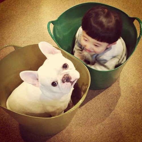 Cute Friendship Between Japanese Boy & His Bulldog