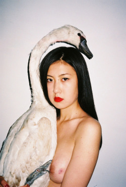 Drinktheantidote:  Photography By Ren Hang