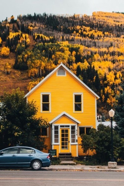 Yellow Vibes