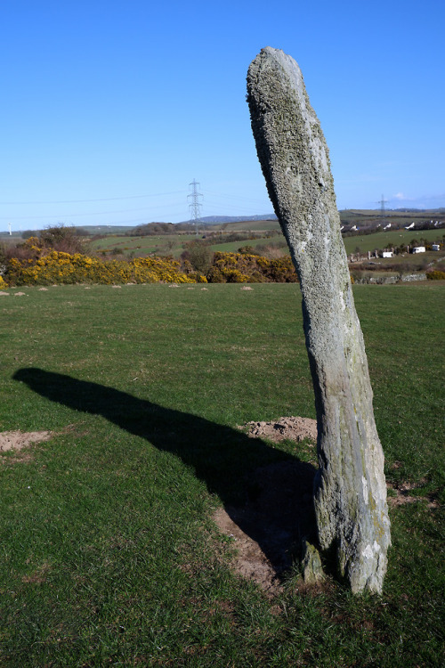 thesilicontribesman:Llanfechell Standing Stones, near Cemaes Bay, Anglesey, North Wales, 25.3.18.A t