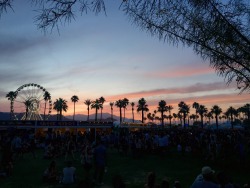 kookidd415:  How I miss Coachella. 