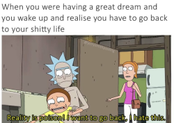 Schwifty Memes