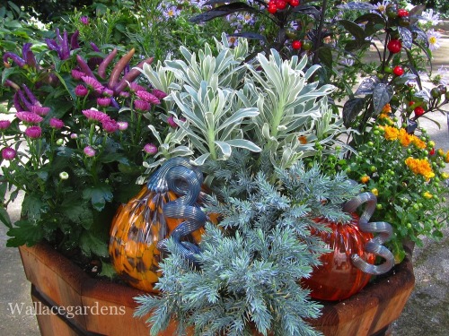 It&rsquo;s the Great Glass Pumpkin Patch, Charlie Brown!  Every autumn I start working on projects f