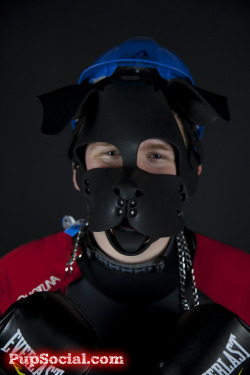 pupsocial:  @flyingasadragon (Pup Halvor)