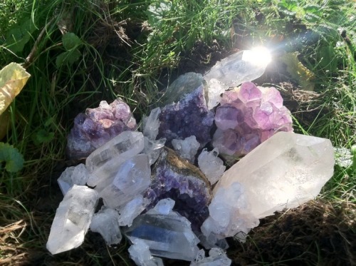 thatslikeoutrageous: pixie-grotto: *:･ﾟ✧ wiccan pixie ✧*:･ﾟ 80% nature