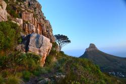 naturalsceneries:  View of Lions Head from