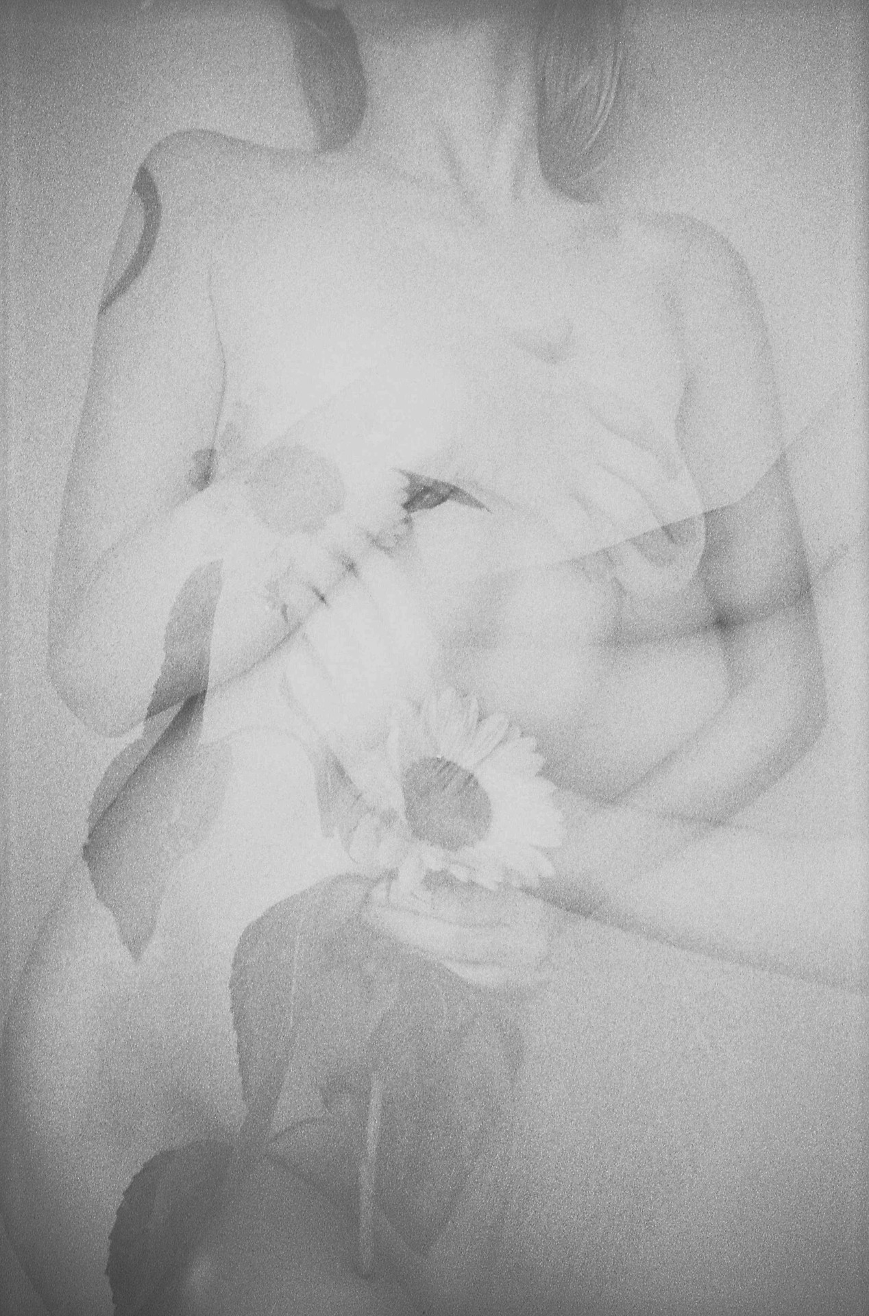 dcci:  Visions Upstate NY | August 2018Image shot by me (dcci) with a Rollei Prego