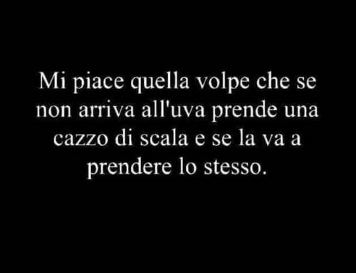 Paradossalmente il più delle volte proprio l'uva che sta nelle parti più alte è la peggiore o comunque di pessima qualità…. Sperimentato di persona!😶
https://www.instagram.com/p/CGPrFThJiAEhCX3YOOZS1SY6TRftEtzJtfQxd00/?igshid=4ka0xkg2qfmx